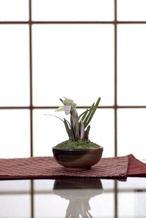 展示会出展なら出展結果が出るブース作り