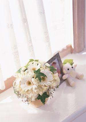 名古屋市で観葉植物のレンタルを利用する
